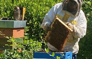 Savorgnan 1593 - Foto 34