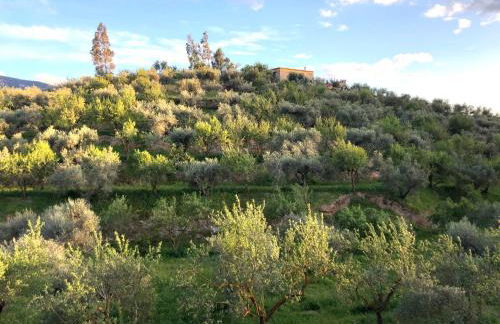 Secano de Paco - Foto 27