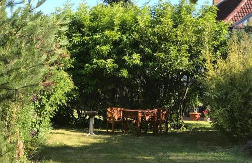 Hering FeWo I Apartment Terrace - Foto 33