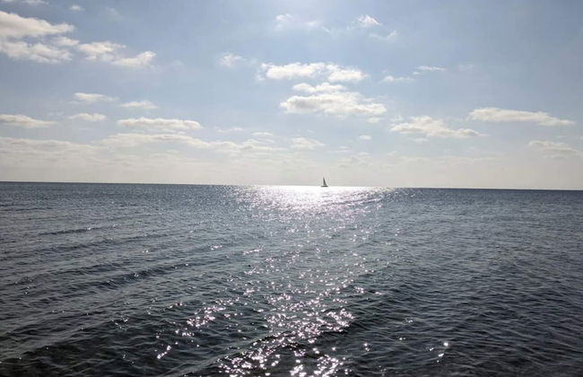 4 Person Holiday Home in Frorup - Photo 58