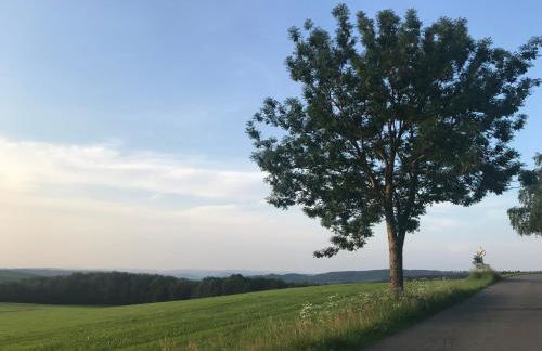 Ferienhaus Sauerland - Foto 21