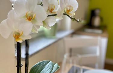 Roosartige Ferien - Ferienwohnung im Hanswieschen - Oberwesel Bacharach - Foto 16