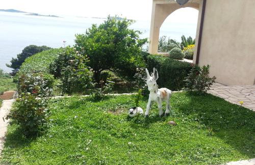 Apartments Lira - Foto 59