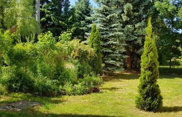 Dom u Kapitana w Lubiatowie - Foto 27