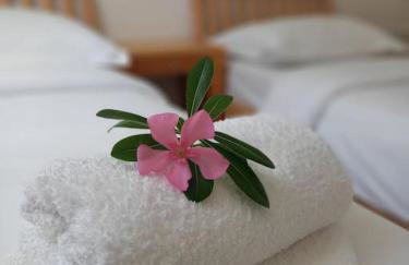 Rosa apartment Mirca - Photo 2