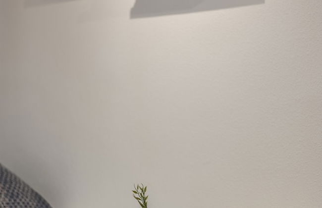 Ifema - Aeropuerto - Foto 14