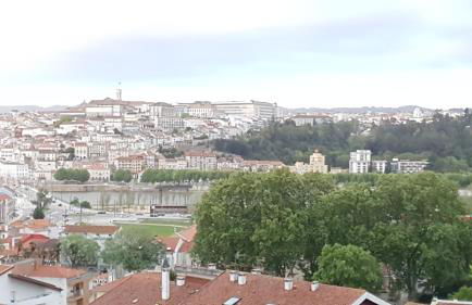Coimbra's Gray & White - Foto 12