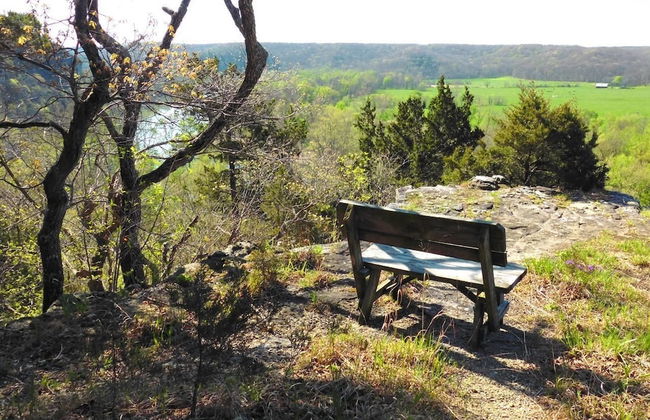 Rock Eddy Bluff Farm - Photo 42