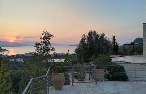 Πέτρα, Ελιά και Λεβάντα - Foto 51