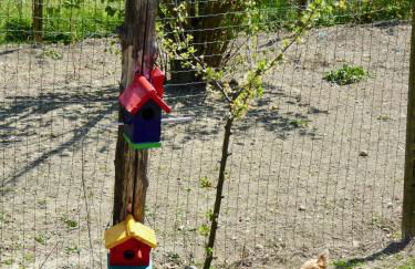 Langhe Apartment in Bottega di Rosanna - Foto 41