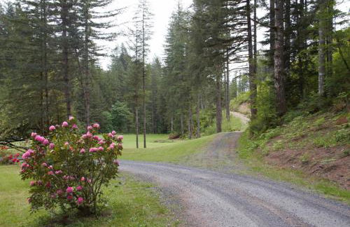 Kanati Falls Ranch - Foto 17