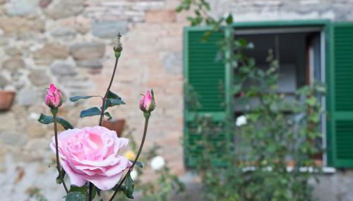 Terrace on the Lake - Photo 4