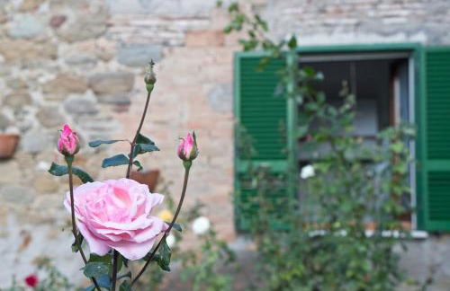 Terrace on the Lake - Foto 4