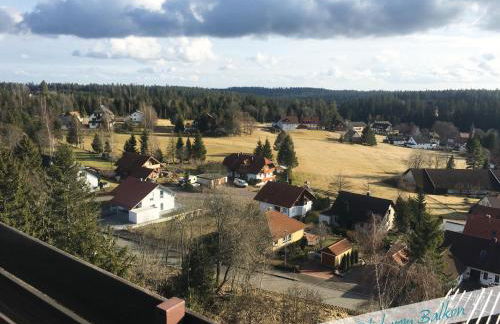 Fewo Nationalpark Schwarzwald - Foto 18