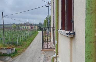 La Quercia - Foto 78