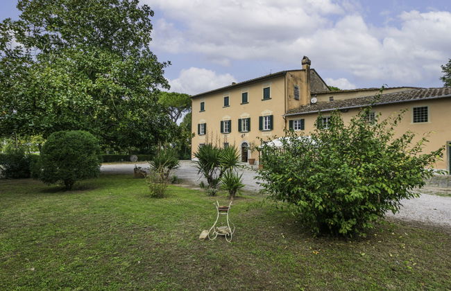 Scaletta + GIrasole - Foto 76