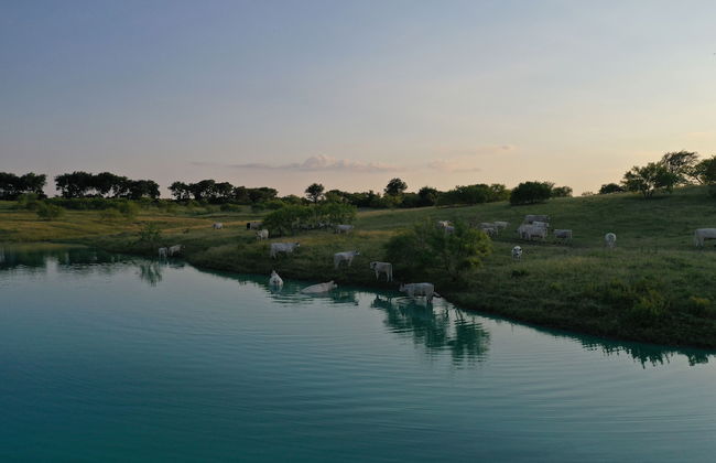 Blue Hills Ranch - Foto 59