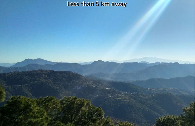 OYO 12187 Home Luxury Studio Kasauli - Foto 25