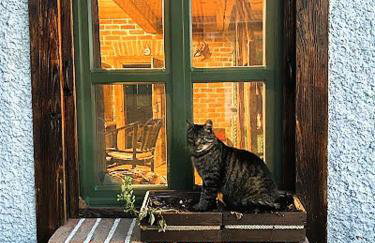 Dom na wyłączność Kruzy36 - Foto 21