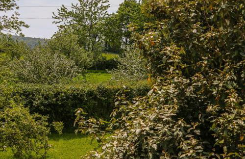 Chapel Pod - Photo 31