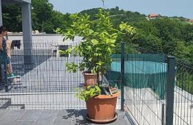 Kuća za odmor Prinčeva oaza - Foto 32