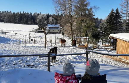 "Sporthütten Nassau" Ihr zentrales Domizil an der Blockline - Foto 7