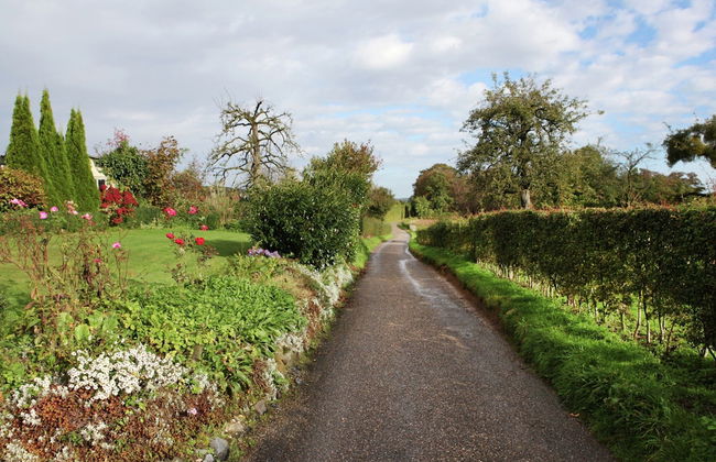 Holiday Home in Epen With Garden & BBQ - Photo 41