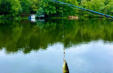 Lake House, Fire Pit, Games Magnolia Lake House - Foto 61