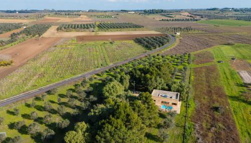 Villa Chiara - Salento Selection - Foto 5