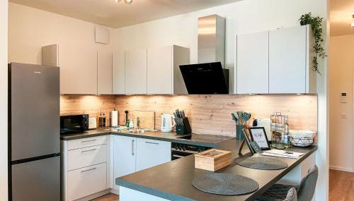 UNiQE- 6 pers - design apartment - fair - SKY-TV - parking - Foto 4, stove, dishwasher, pet friendly, toaster, minibar