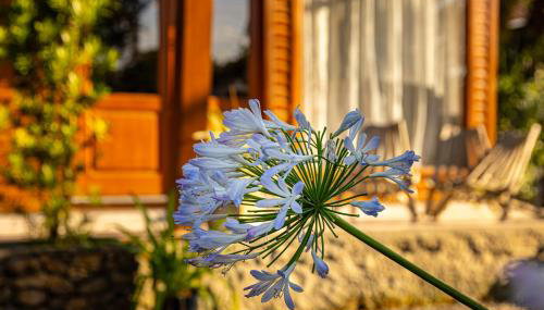 CHALÉ DOS ALPES VERDES - Foto 4, Garden