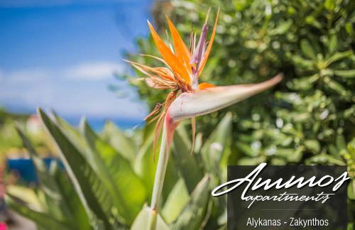 Ammos Apartments - Foto 31