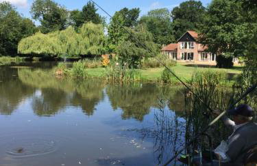 Everglades - Foto 52