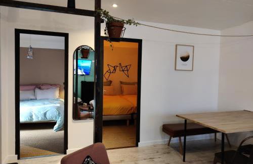 Appartement Hyper Centre Evian - Leman Odyssey - Foto 12