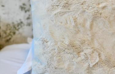 La Maison d'Eugène, Rennes centre - Photo 20