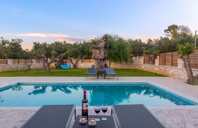 Tierra Olivo - Foto 60