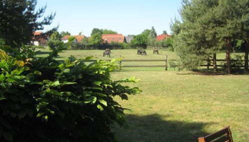 Finnhütte Möwe - Wittenbecker Tannen - Foto 3, Garden, Garden view