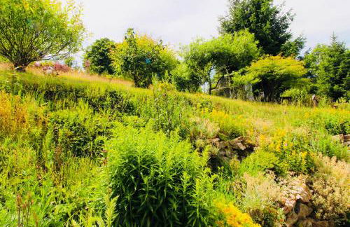 Flügels ReBi-Baude - Foto 32