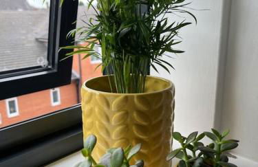 No5 at 53 - 2 bed apartment in Leek, Staffs Peak District - Photo 39