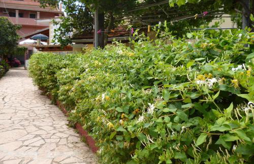 Kostas studios - Foto 33