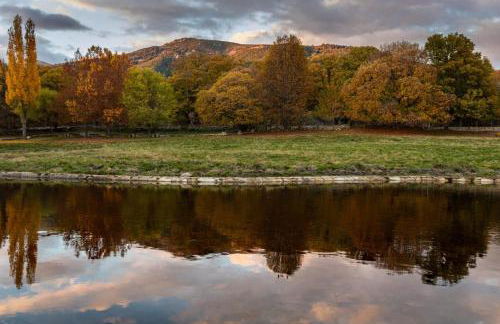 Casa Ypsilon Olive Oil - Photo 24