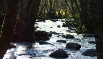 Le gîte de Chomet - Foto 2