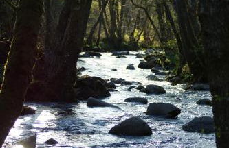 Le gîte de Chomet - Foto 2