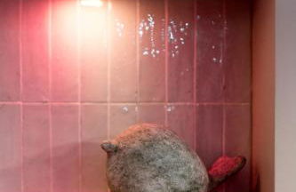 LYON HYPERCENTRE LES CORDELIERS - Photo 28