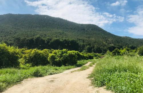 Casa Ramoncico. Finca el Campillo - Foto 45