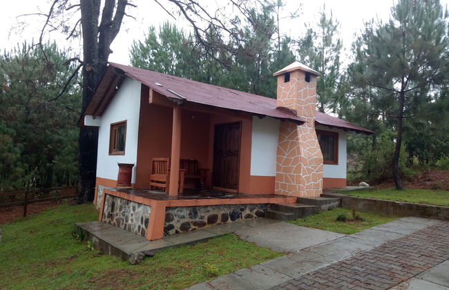 Cabañas del Bosque - Foto 1
