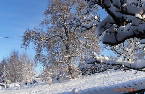 Ferienwohnung Mitreuter - Foto 12