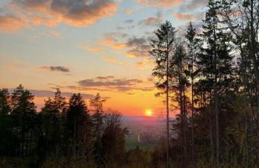 Ferienwohnung Huglbauer - Foto 40
