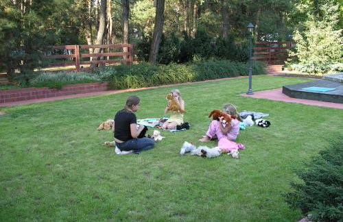 DOM 4 POKOJE Z BASENEM BLISKO WARSZAWY - Foto 7