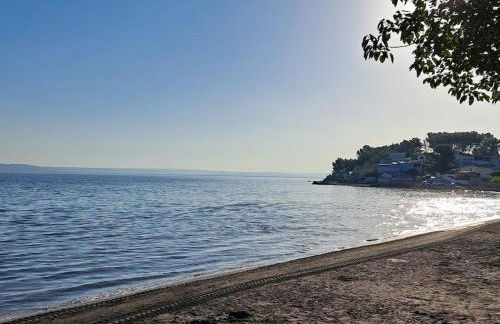 Studio cocoon climatisé - Foto 15